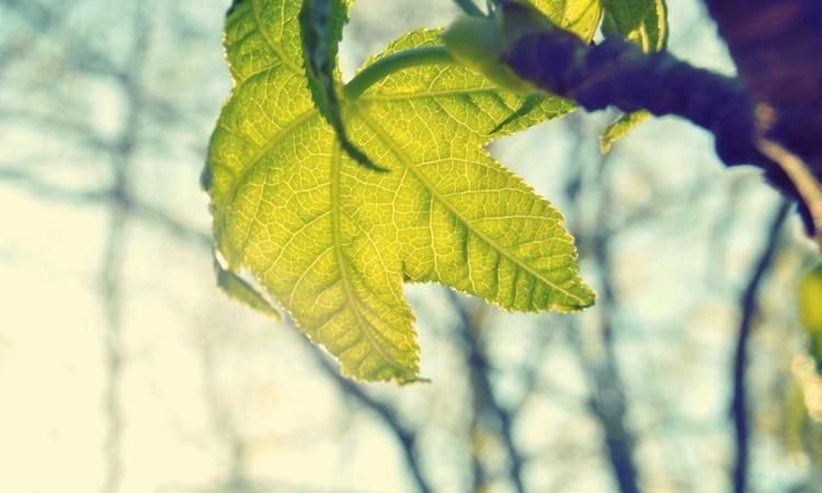 天线可靠性研究,稳定性与容错能力