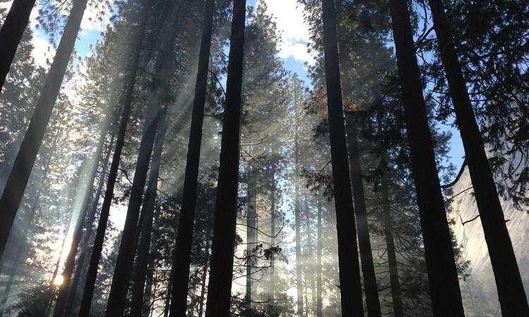 苹果vision pro研发团队，泰达官网曝苹果正在开发多款