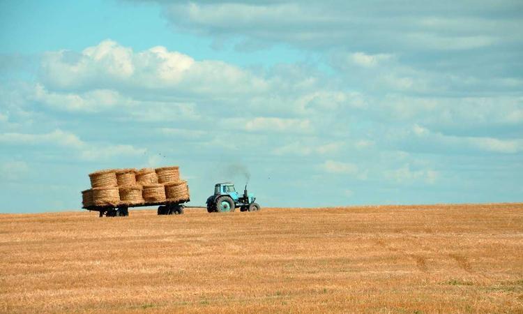 索尼相机产业赚钱吗,索尼稳居无反相机市场份额第一 高管称有三